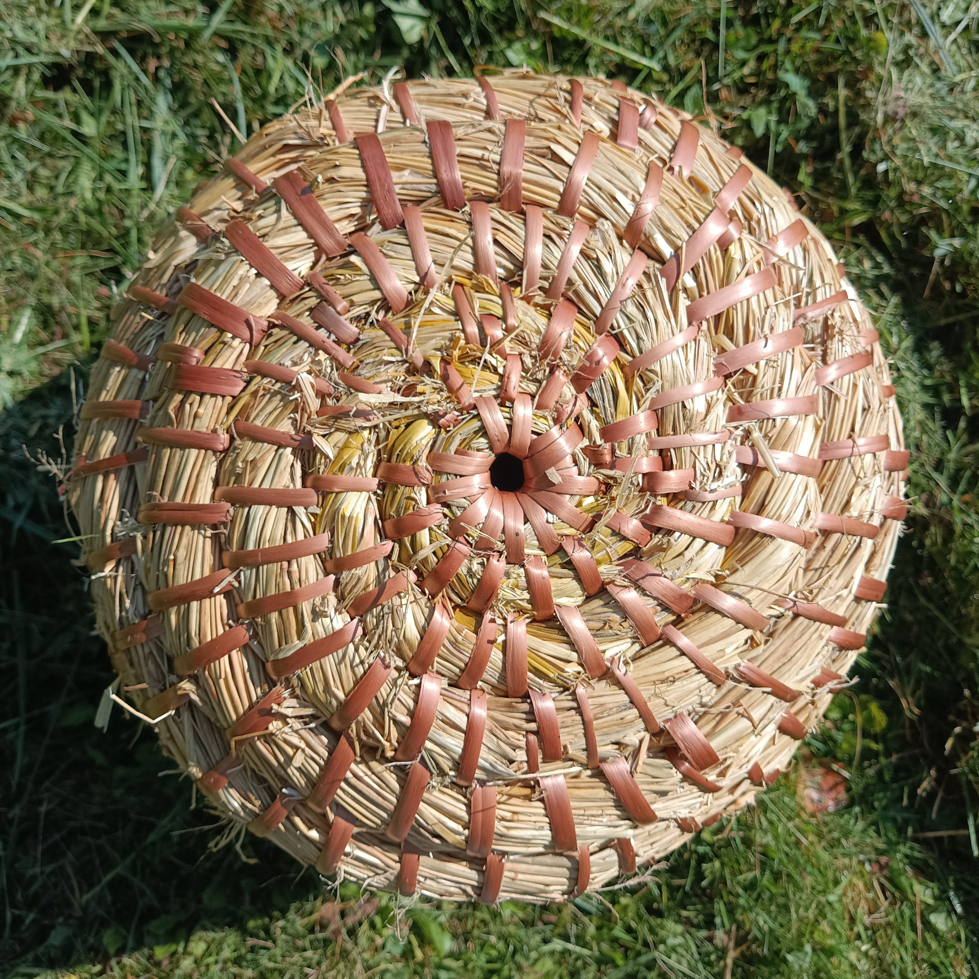 Spiralnie wypleciona słomiana kószka widziana z góry na trawie